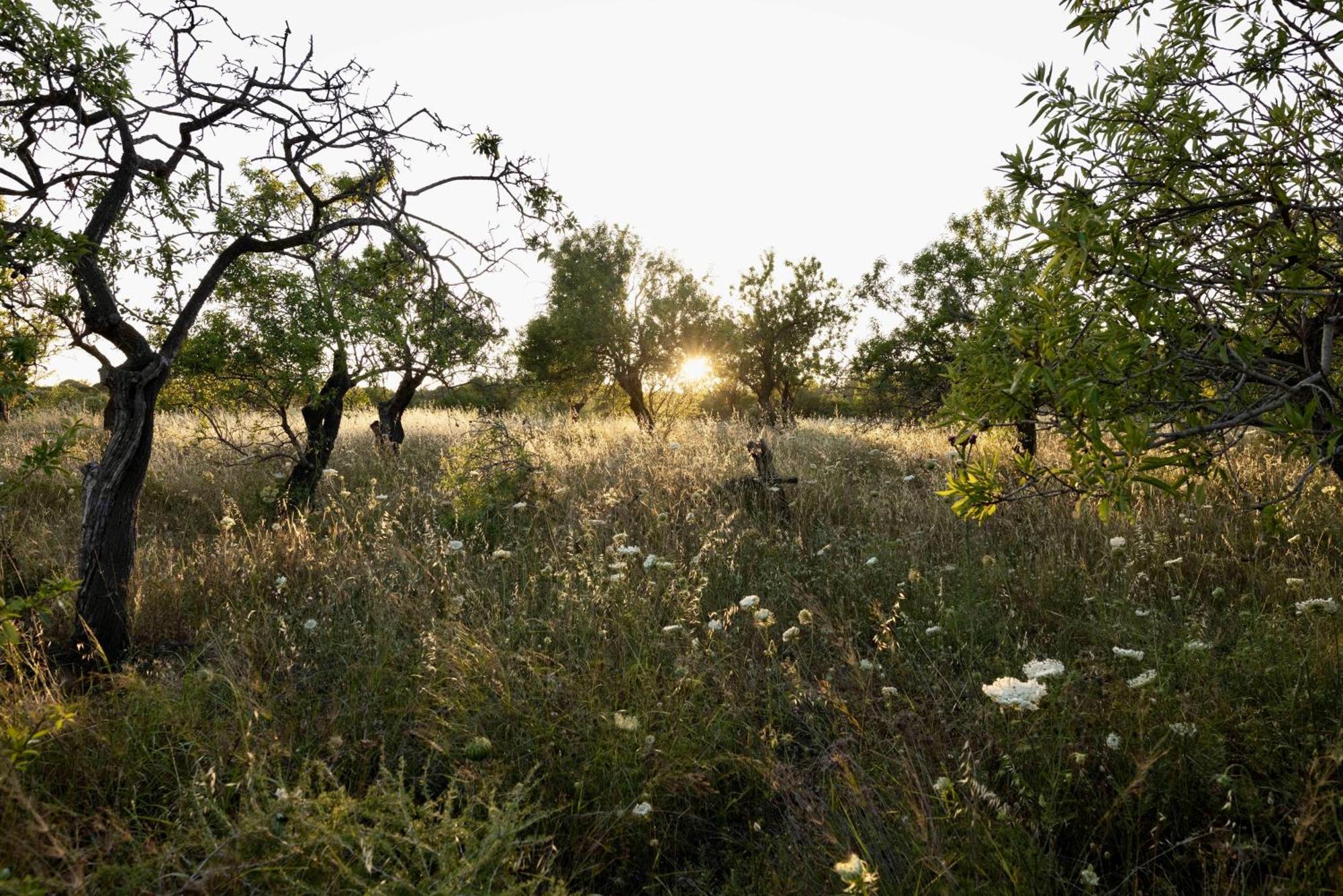 Soul Valley All-In Boutique Hotel With Yoga & Wellness Maracalagonis Exteriör bild